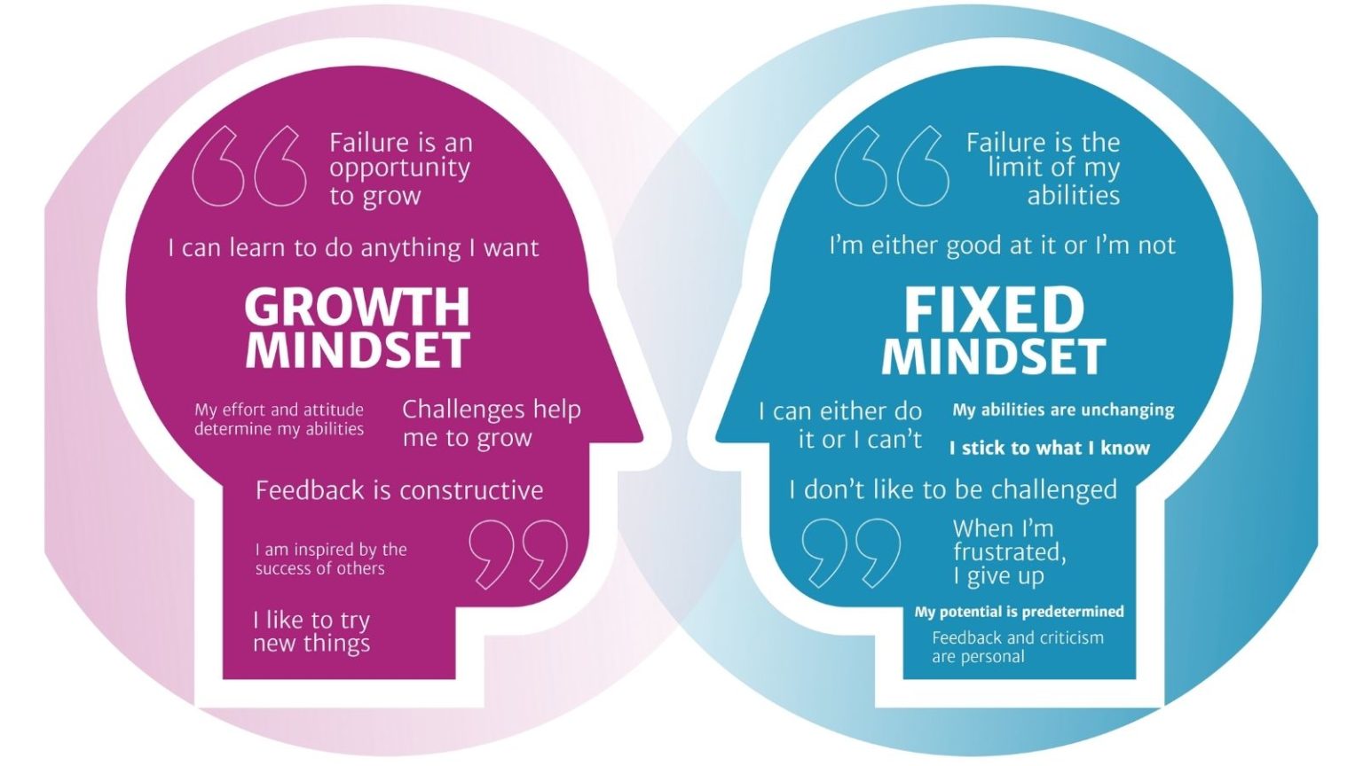 What Are The Effects Of A Fixed Mindset